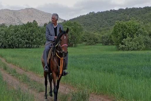 [query-result:espagetitle]